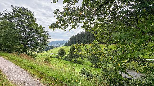 Ausblick