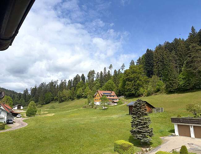 Ausblick vom Wohnzimmer