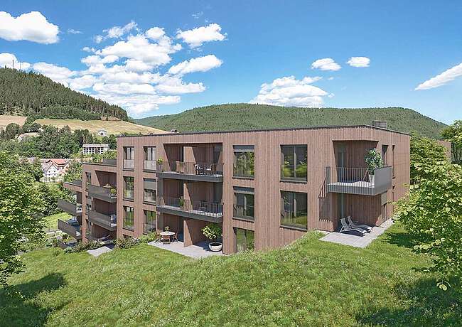 Schwarzwaldterrassen 