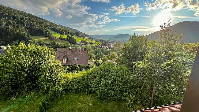 Ausblick
