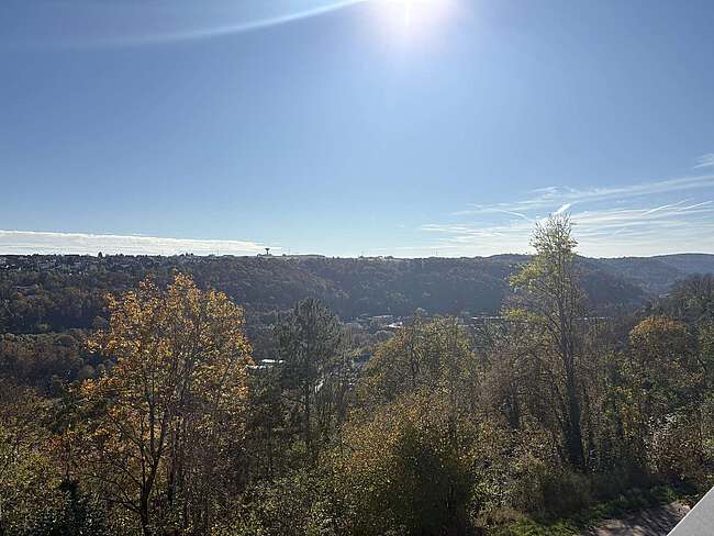 Ausblick 