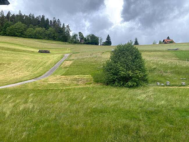 Blick aus der Küche