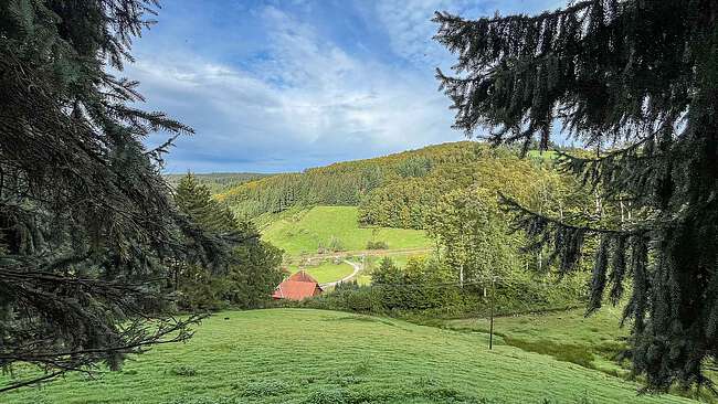 Ausblick Ausblick