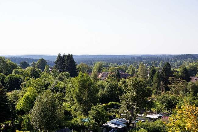 Weitblick 