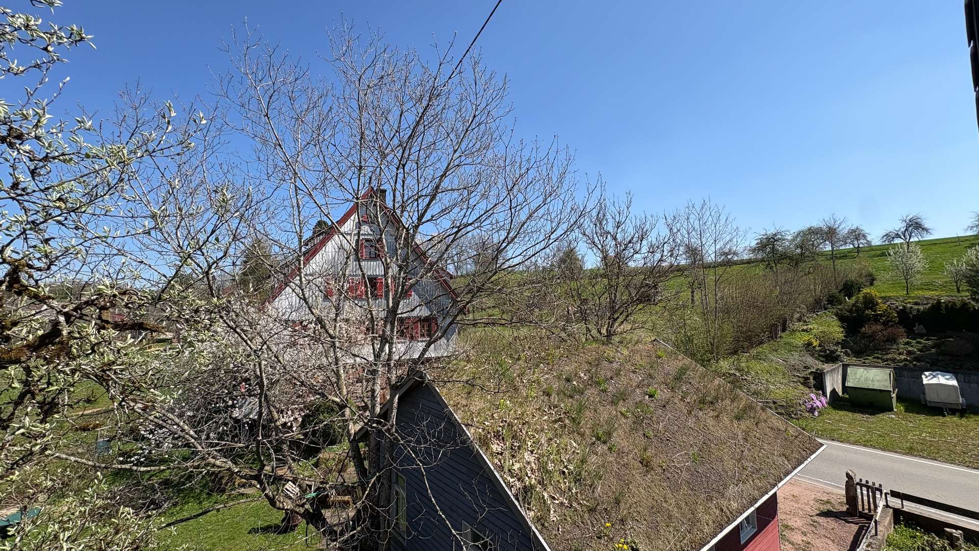 Ausblick vom Balkon DG