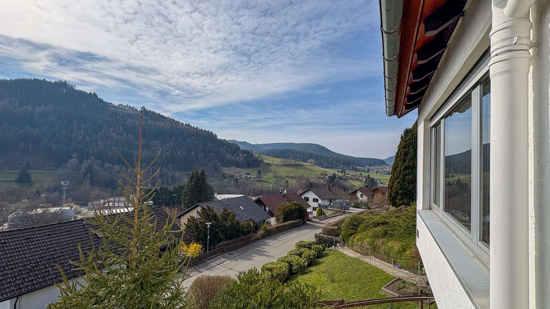 Ausblick
