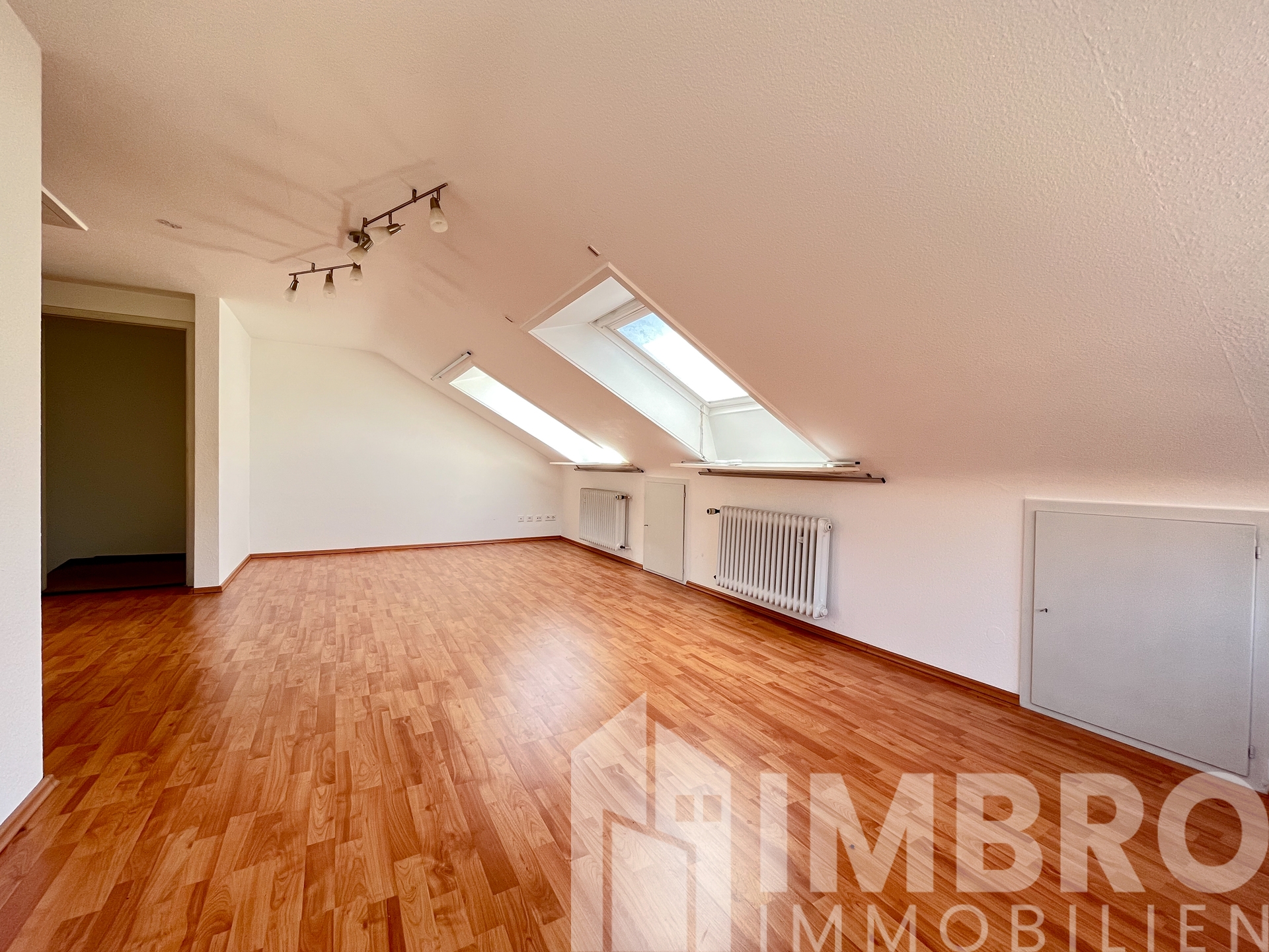 Zimmer DG