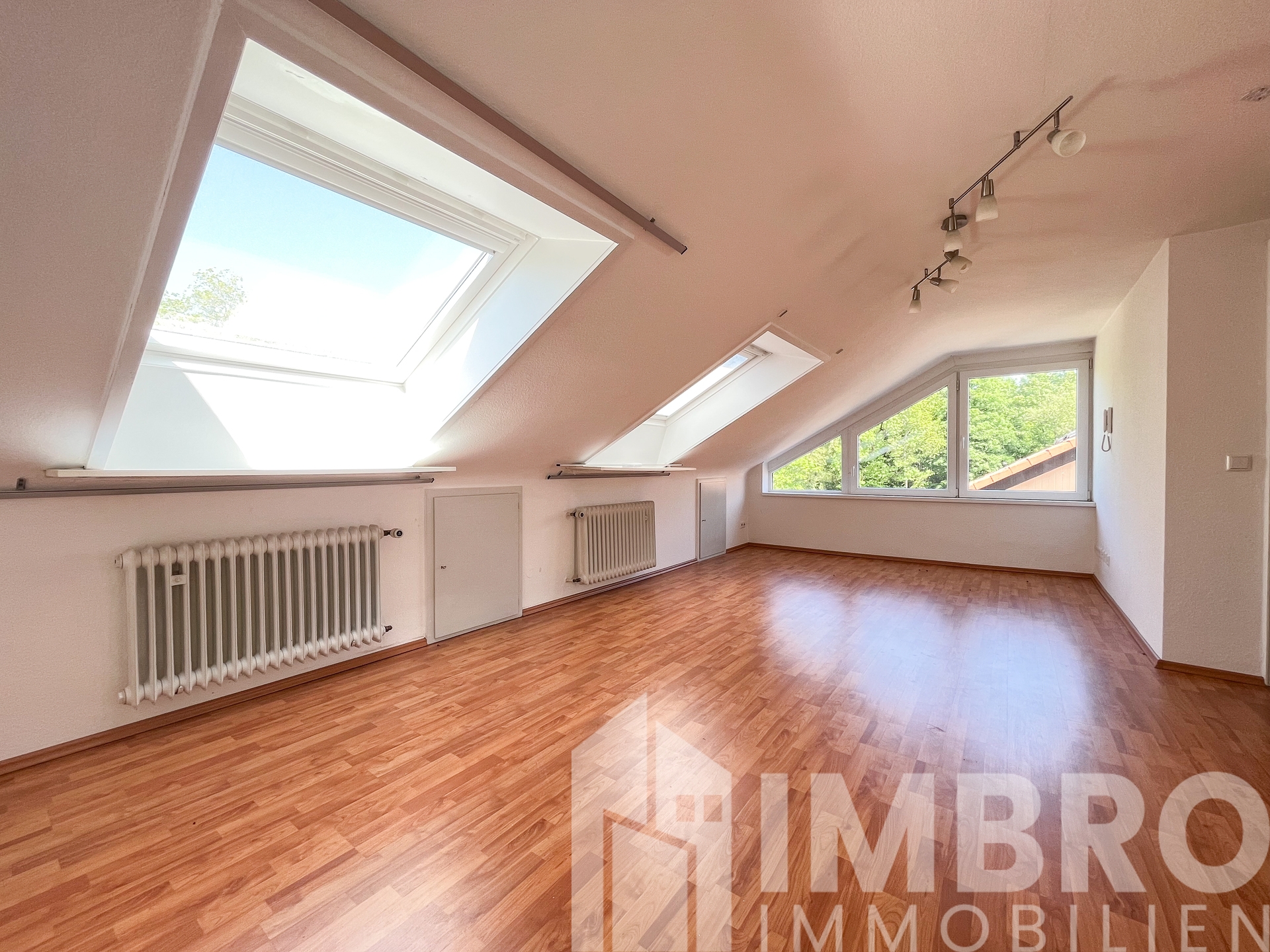 Zimmer DG