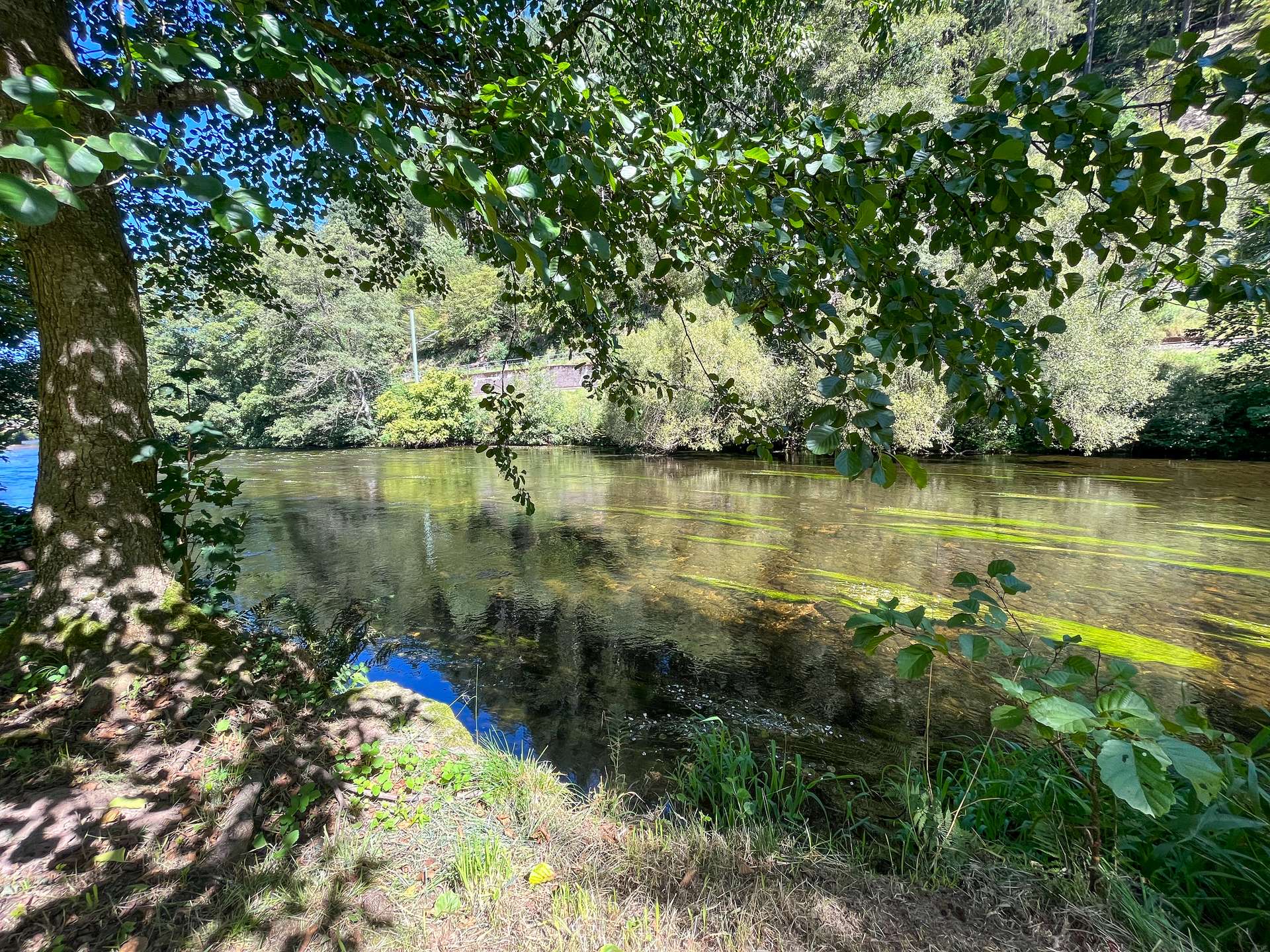 Garten mit Blick auf die Murg