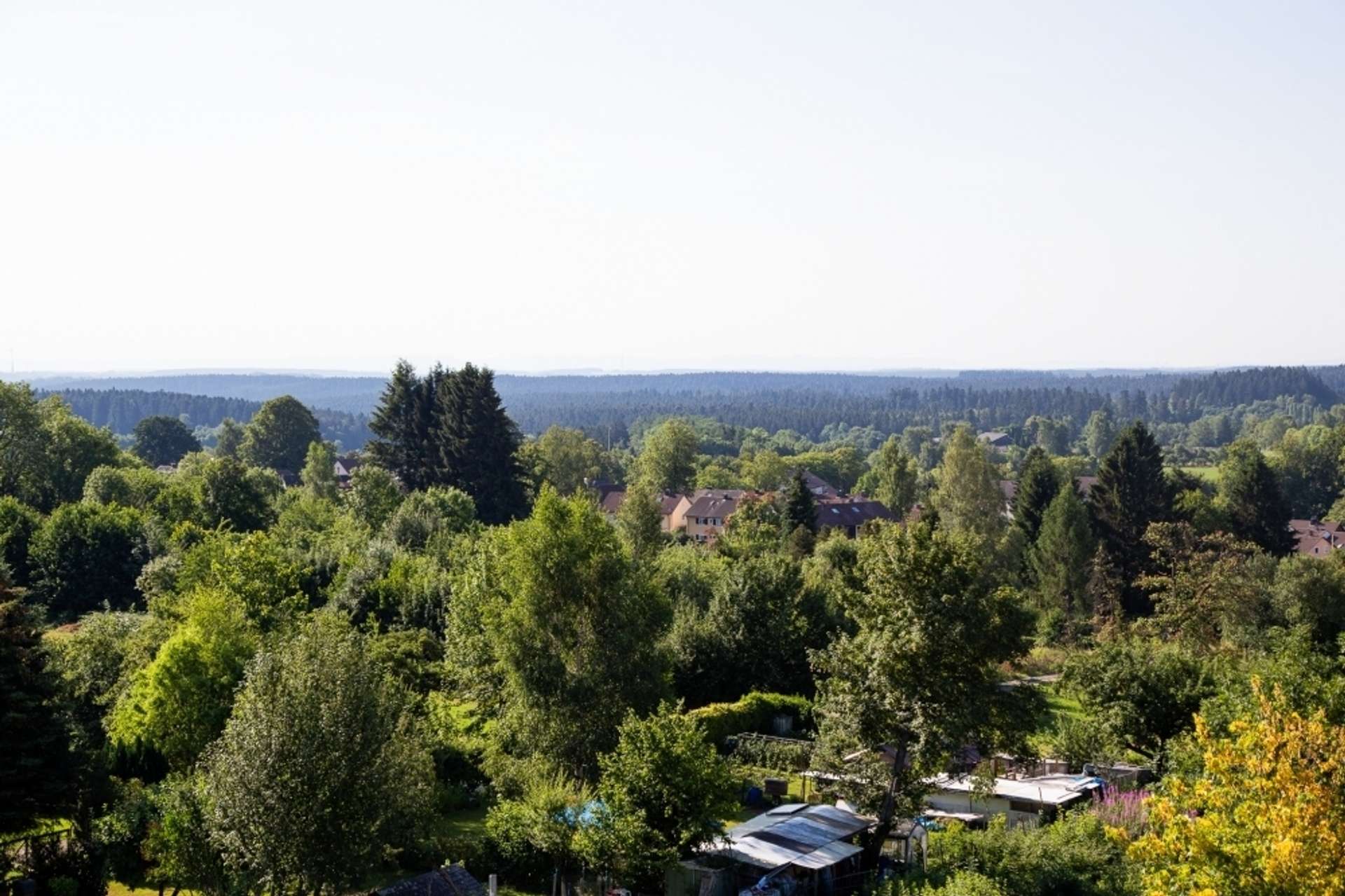Weitblick 