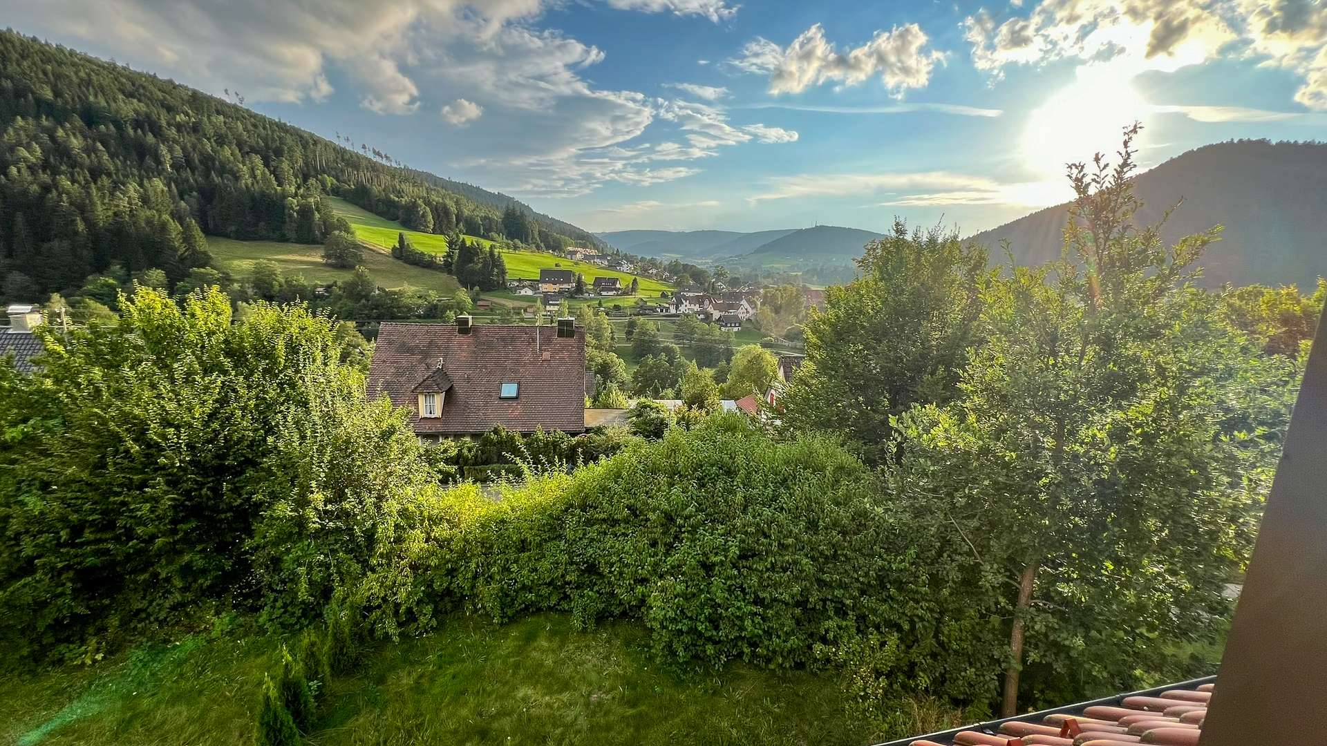 Ausblick