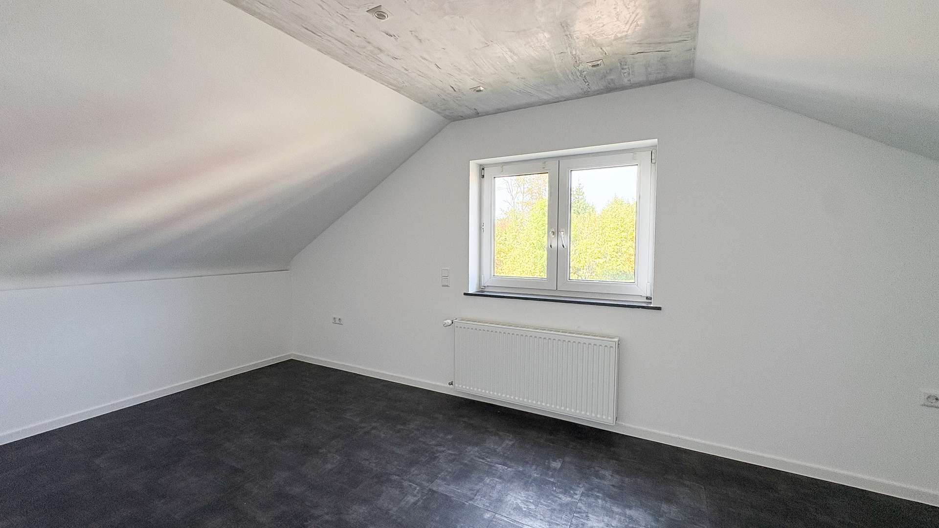 Zimmer DG